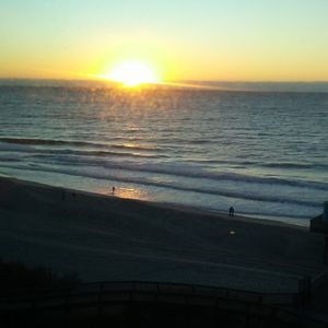 Meet your Posher, Darlene